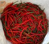 Red Chilli