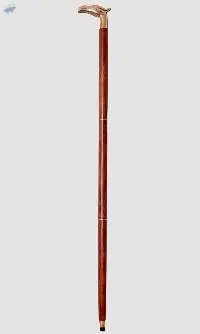 Brass Eagle Face Walking Stick