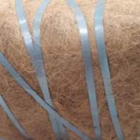 Coco Fiber