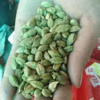 Green Cardamom