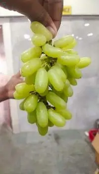 Grapes
