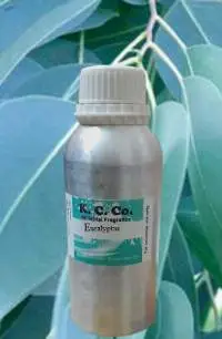 Eucalyptus Oil (Eucalyptus Globulus)