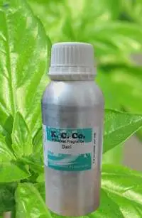 Basil Oil (Ocimum basilicum)