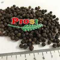 Black Pepper