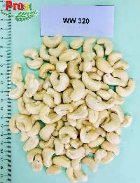 Cashew Kernel WW 320