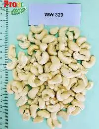 Cashew Kernel WW 320