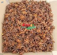 Autumn Star Anise