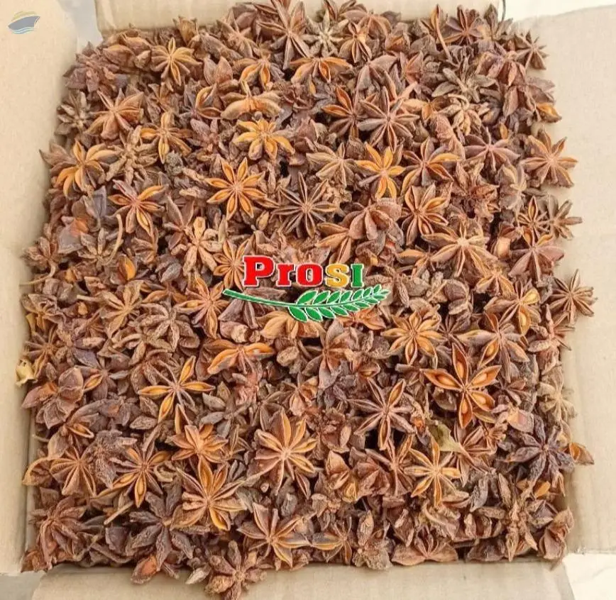 Autumn Star Anise