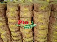 Cassia Sticks