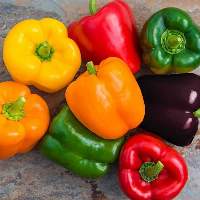 Sweet Pepper