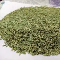 Fennel