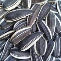 Sunflower Seeds