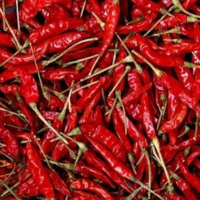 Red Chilli