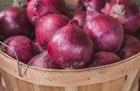 Onion
