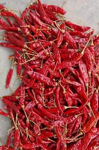 Red Chilli
