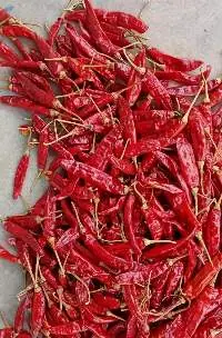Red Chilli