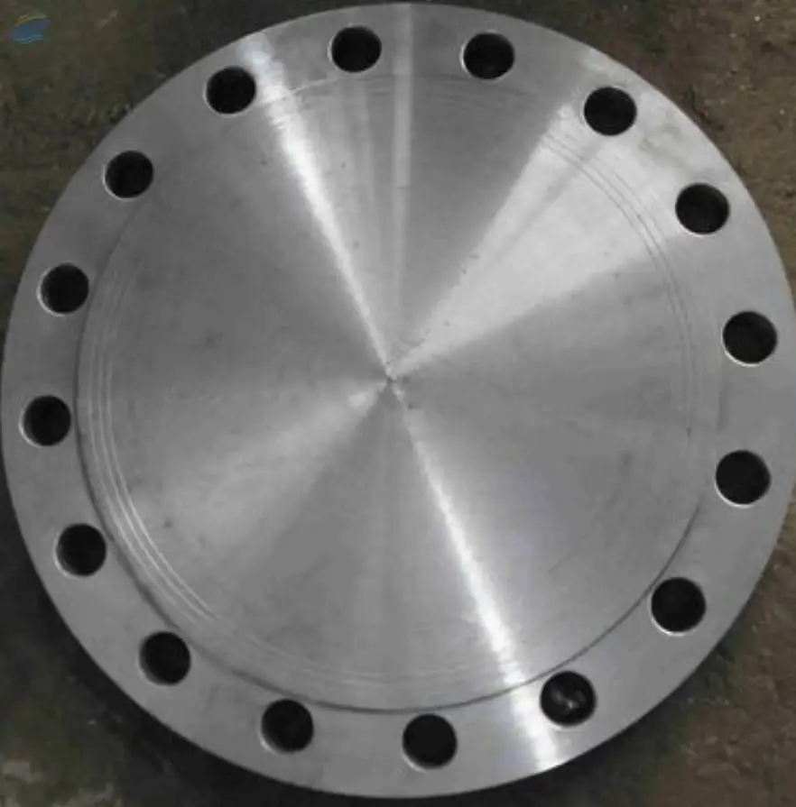 Stainless Steel Blind Flanges