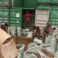 Palm Kernel Expeller