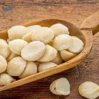 Candlenut