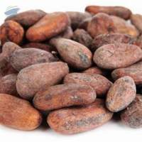 Cacao