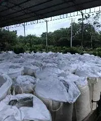 Corn Silage