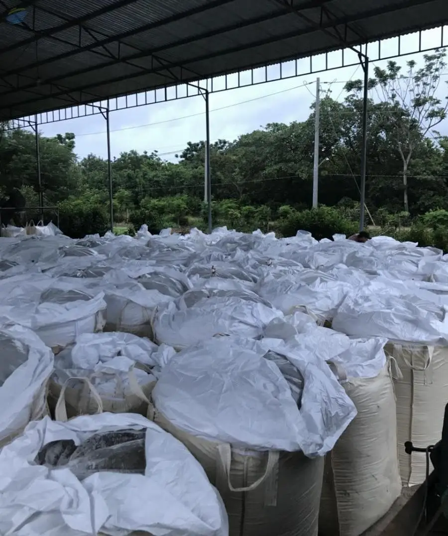 Corn Silage