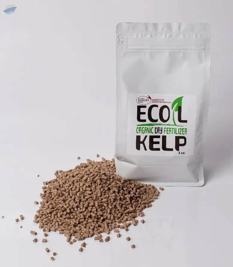 Organic Fertilizers Kelp Dry