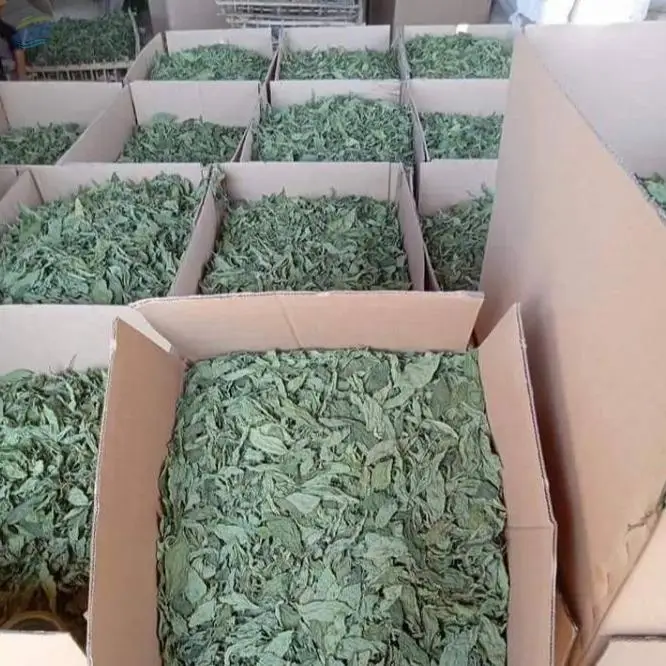Molokhia Leaves