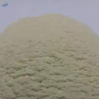 Onion Powder