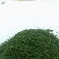 Mechanical Dried Dill