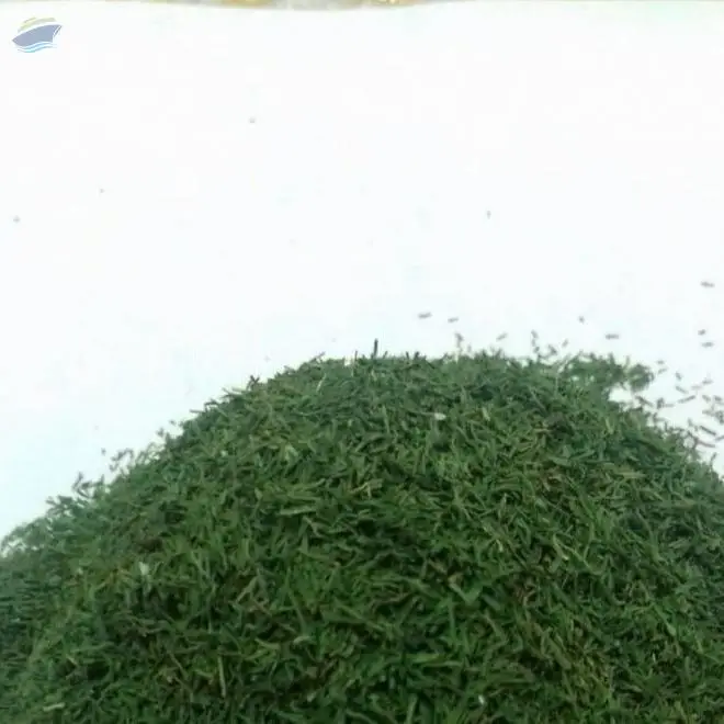 Mechanical Dried Dill
