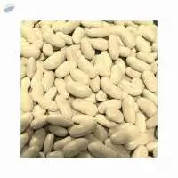 Beans