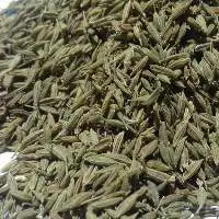 Cumin Seeds 