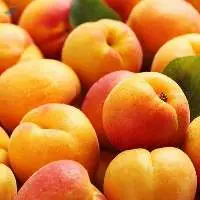 Canned Fruit