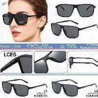 7048 PC Frame Sunglass