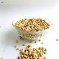 Soybean
