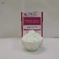 Premix Taste Enhancer For Crispy Fry