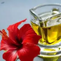 Cold Pressed Virgin Hibiscus Flower Seed Oil