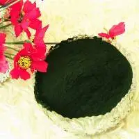 Spirulina Powder