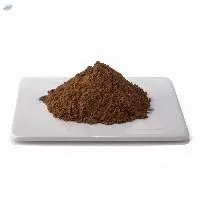 Black Garlic Extract