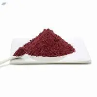 Grape Seed Extract