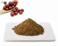 Ziziphi Seed Extract