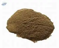 Bacopa Monnieri Extract