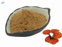 Ganoderma Extract
