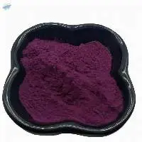 Bilberry Extract