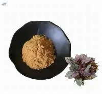 Perilla Leaf Extract