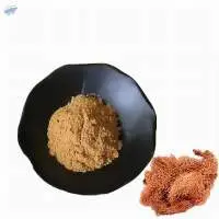 Corn Silk Extract
