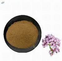Valerian Extract