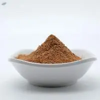 Pumpkin Seed Extract