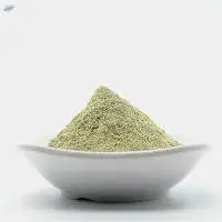 Scutellaria Extract